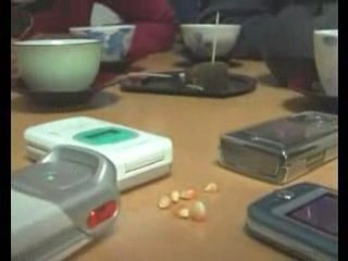 Microwave Radiation Will Open The Blood-Brain-Barrier (BBB)