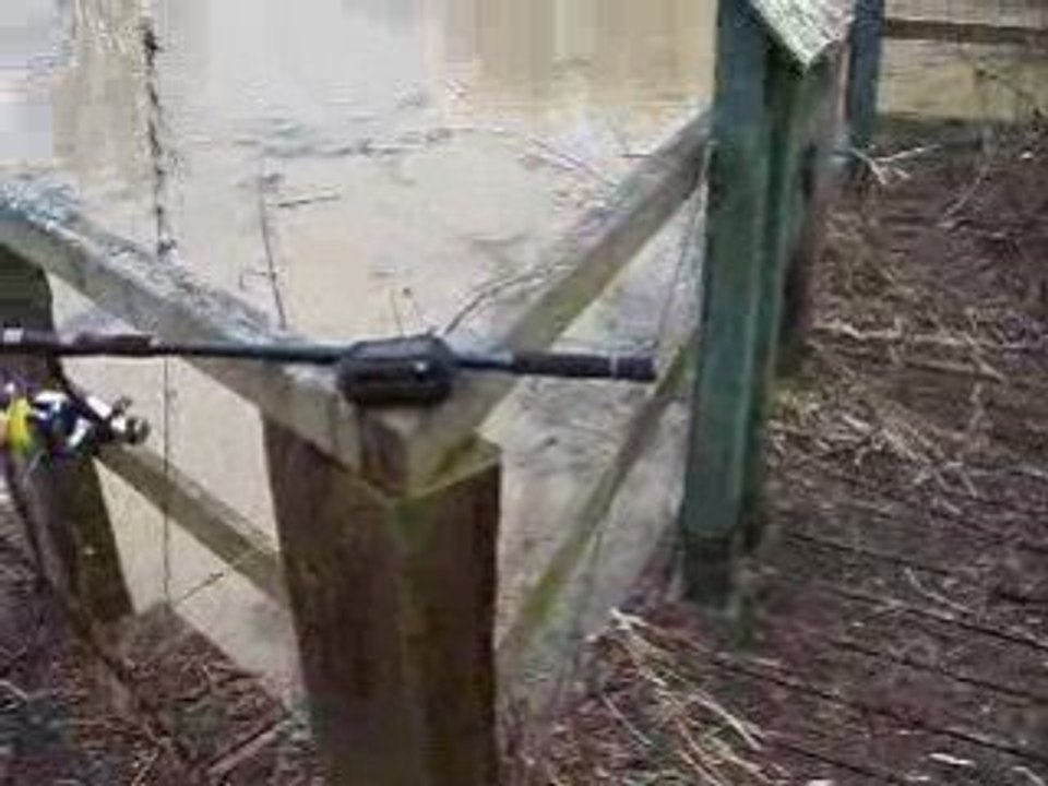 Annexe boistray en crue