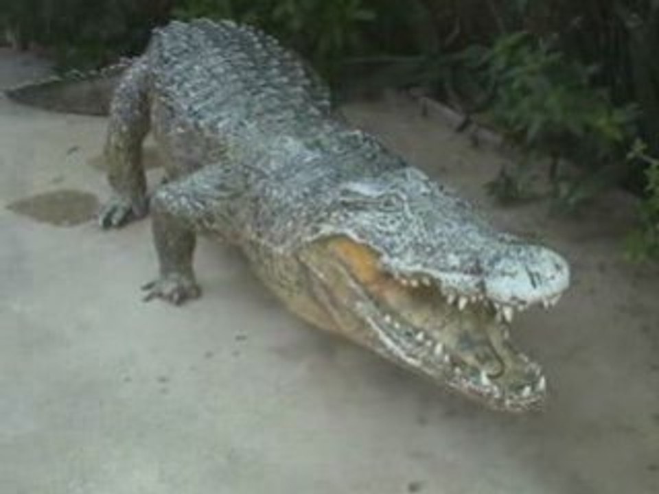 LA FERME AUX CROCODILES_0001