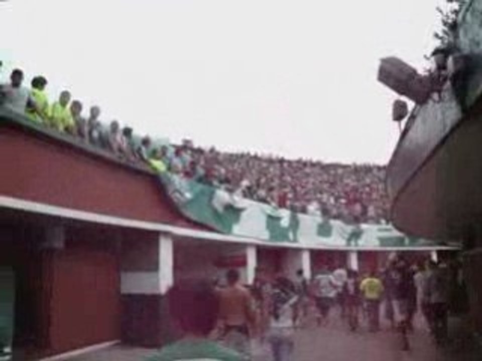 Palmeirasxsantos003.wmv