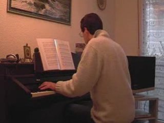 Vincent Delerm-Chatenay malabry