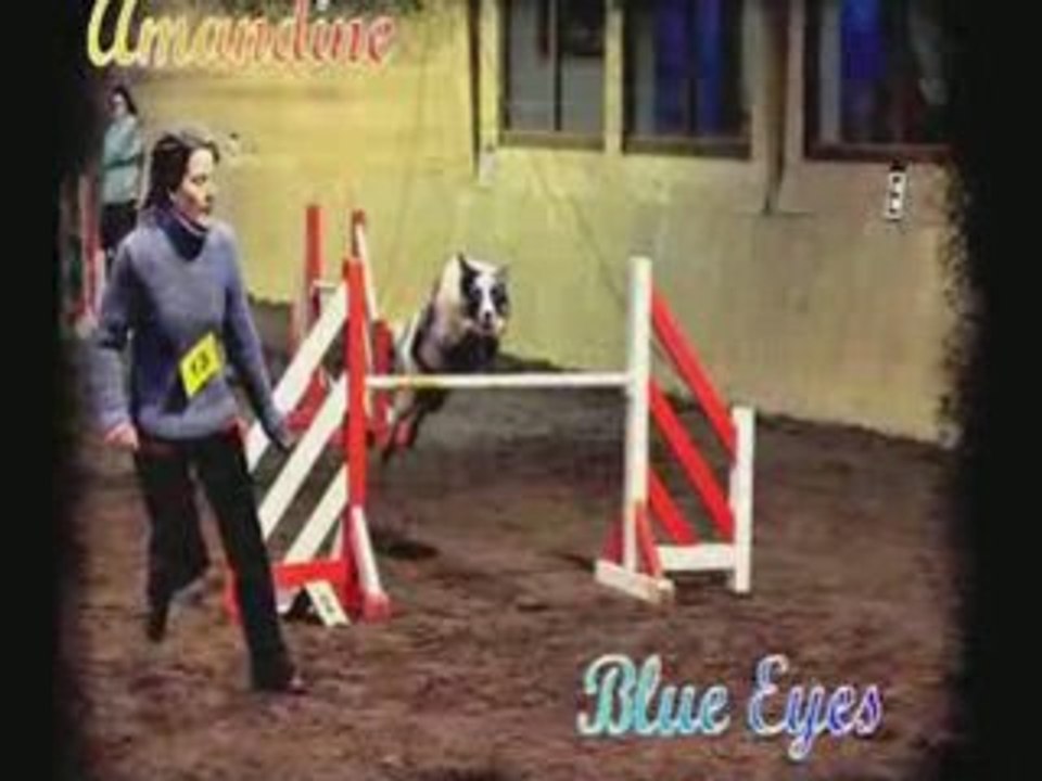 Agility Val de Metz 08.02.09