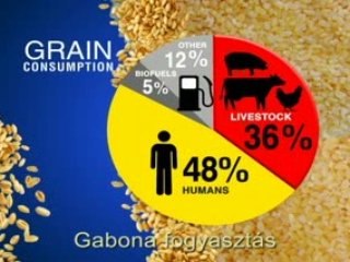 Nincs elég vizünk és élelmünk?