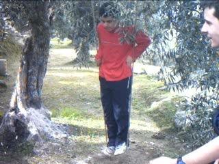 pety ( campo de marcos )