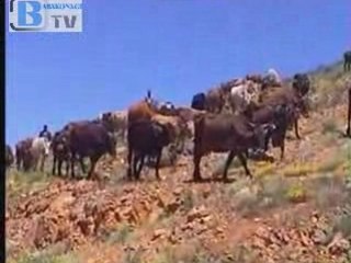 Yayla Yolu Giderken-1