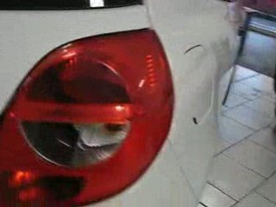Renault-clio