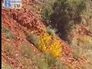 Yayla Yolu Giderken-2