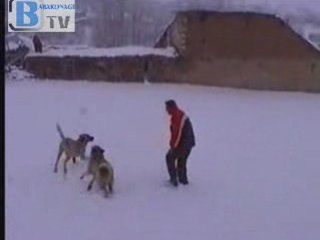 KÖY KIŞ GÖRÜNÜM