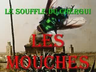 LE SOUFFLE DU CHERGUI - LES MOUCHESAndrée Raybaud
