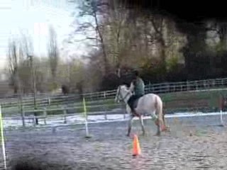 Concours vilvert Basket