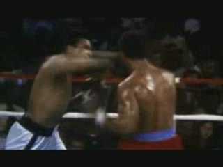 "Alì BumaYe" Frank Sent Us + Sine