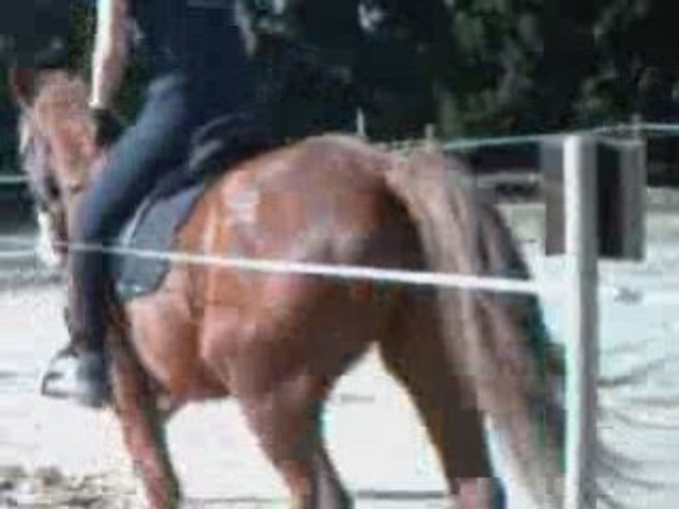 1,25m