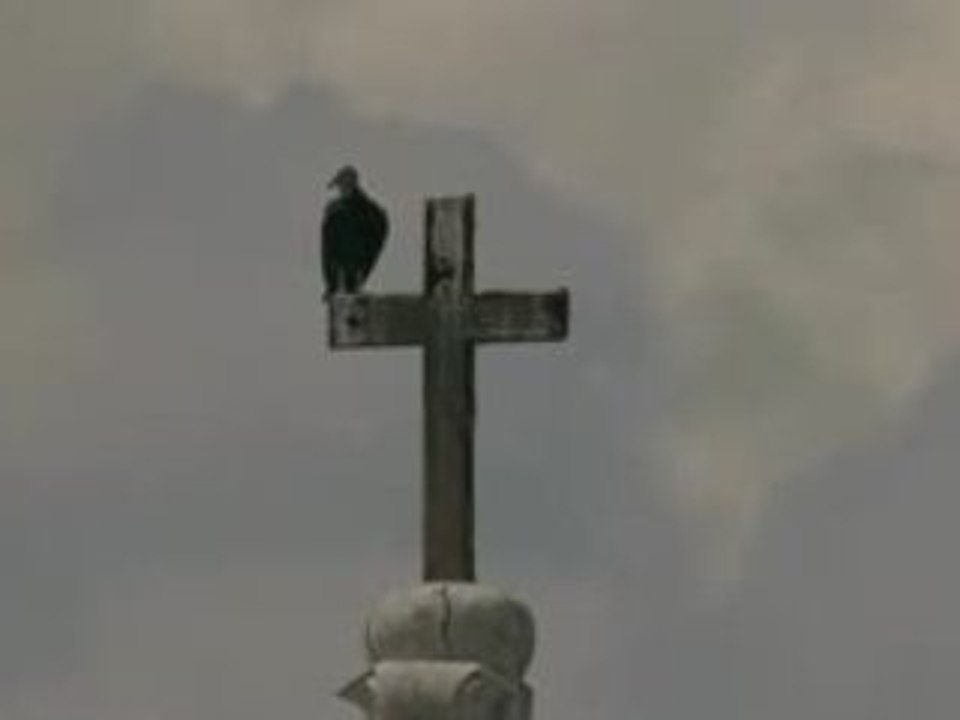 el arriero