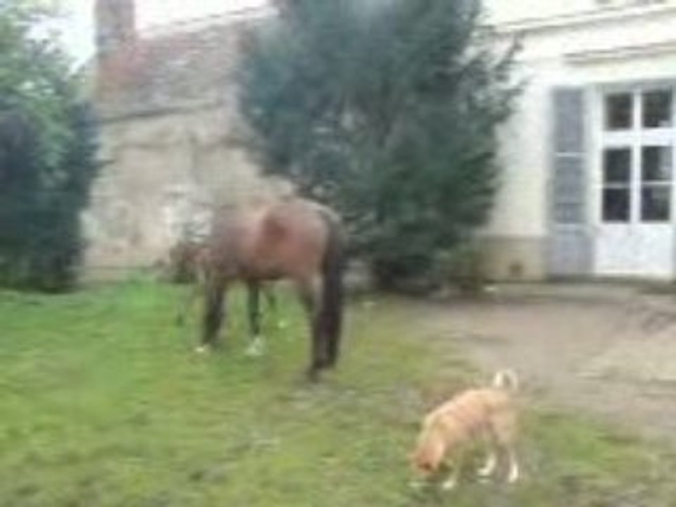 UPT:GALOP - 21/04/08