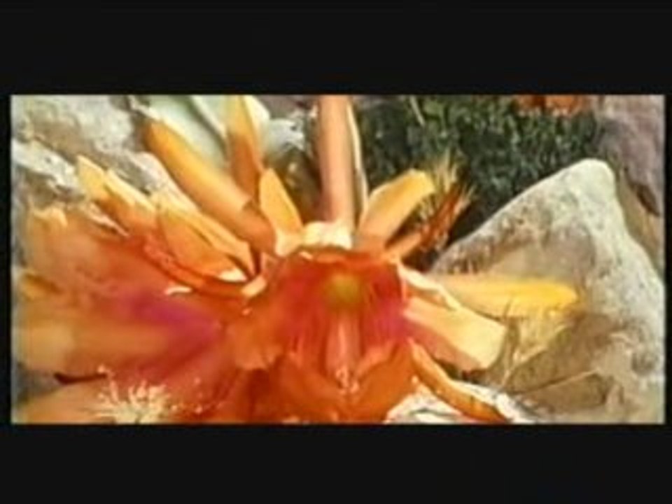 ANDRIAMANITRA FITIAVANA