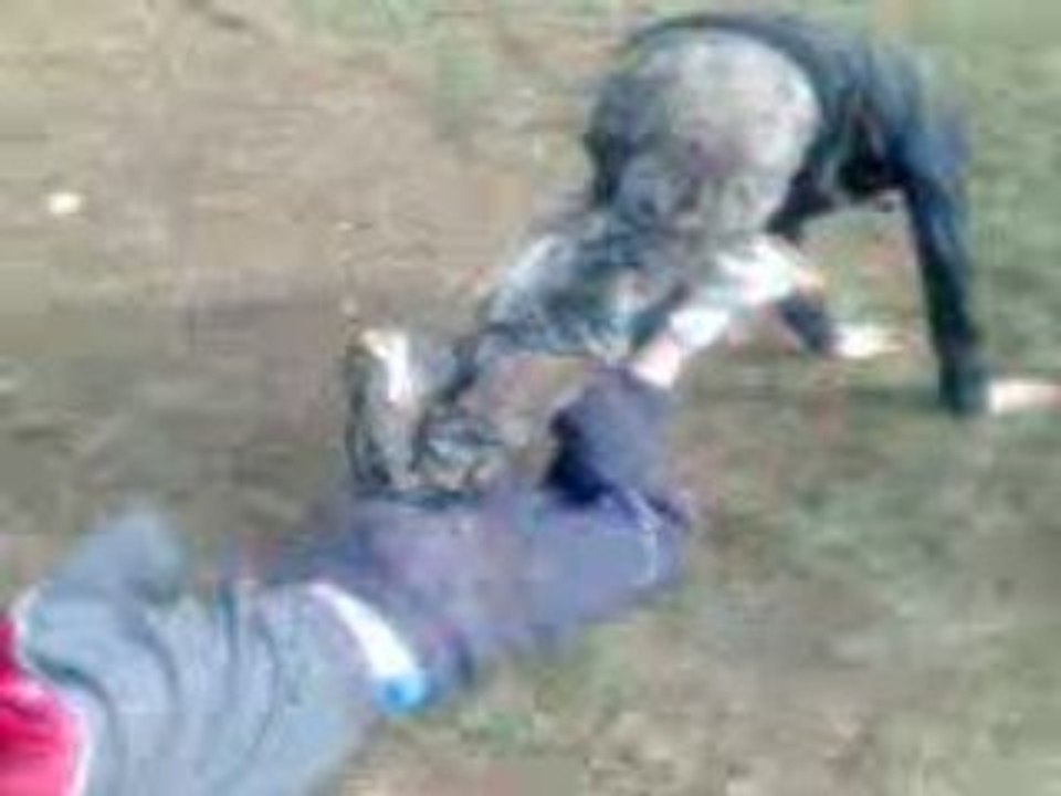 Final : démolition man vs triple m