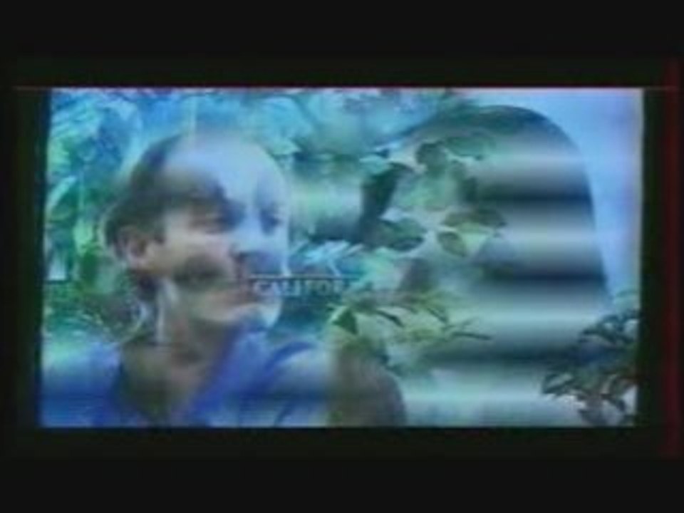 L'Amour aujourdhui 2000