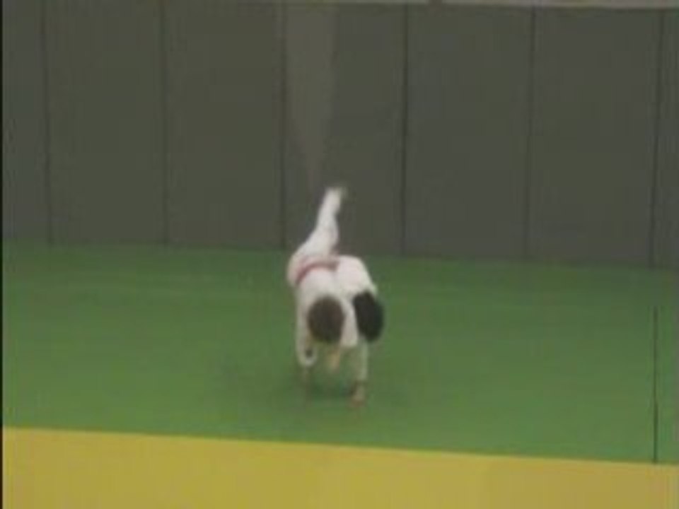 Thomas judo : morote seoi nage