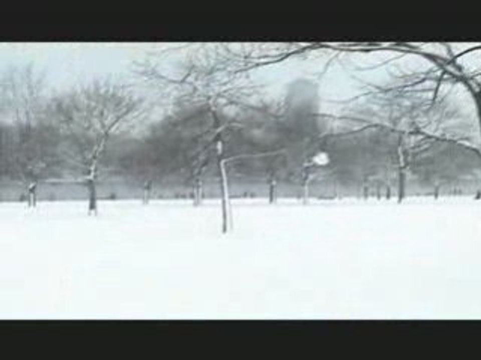 Snow In The Serpentine, Hyde Park on 2nd february 2009