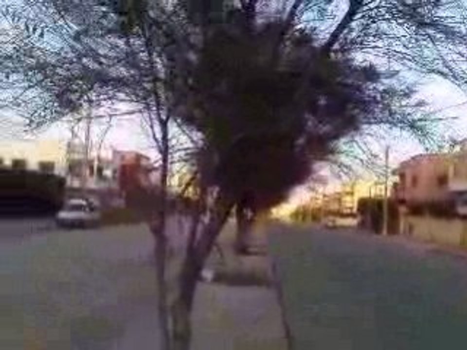 K-POLACO KAWASAKI ZX6R