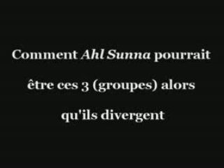 qui sont les salafis???????????