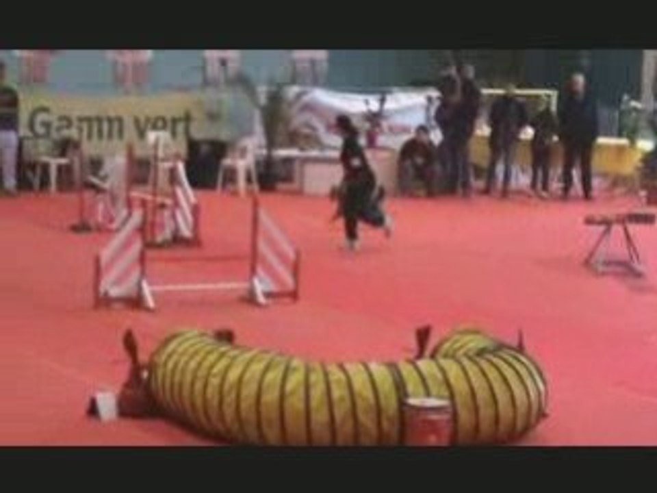 Concours Annonay Kiki & Vesta