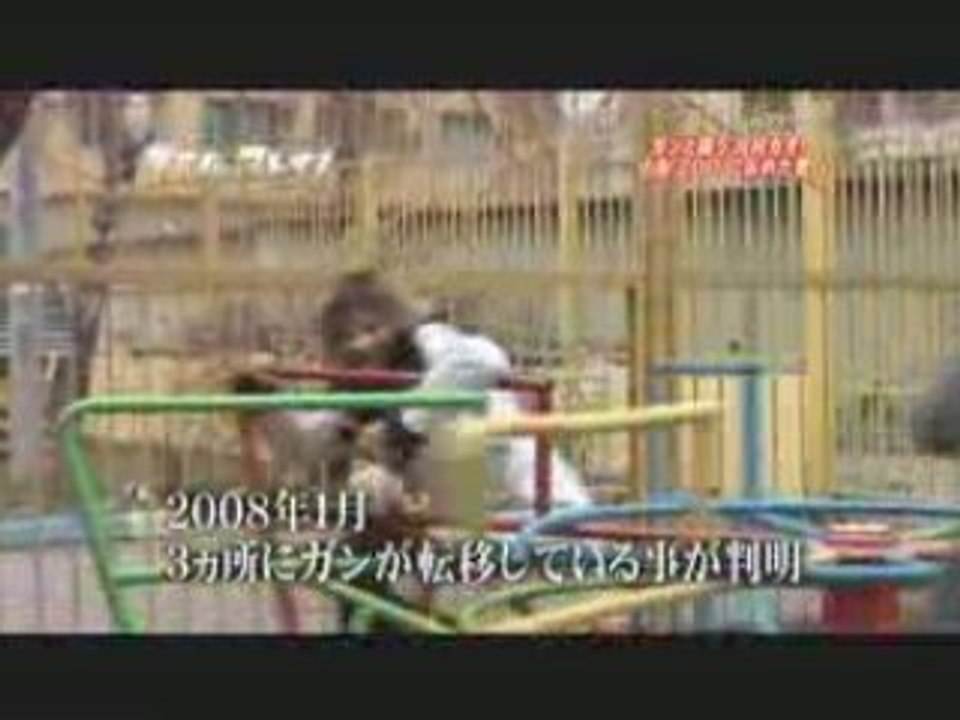 キミハ・ブレイク川村カオリー１