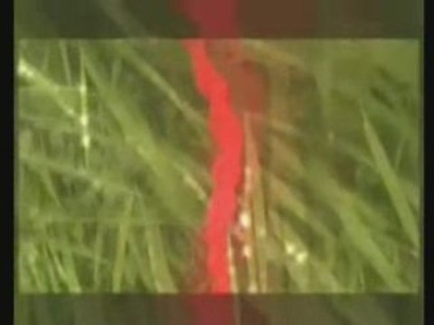 Michael Tsarion - Solution Think - Part 1 of 2