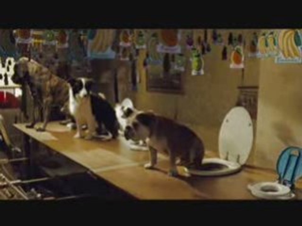 Hotel for dogs