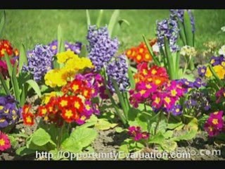 health-related business opportunities