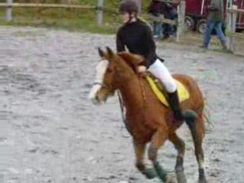 Laure Cadec & Jalaad De Leyrieux Clb Po El CSO Cx 08-02-2009