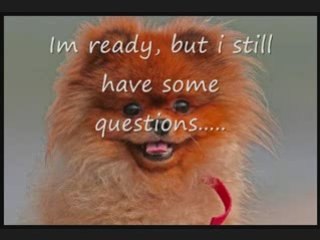 Mike Klade's Personal GDI Bailout Program!!