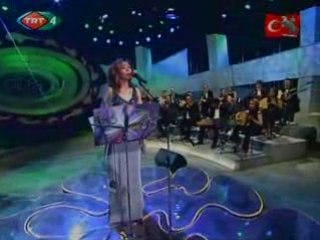 Elif Güresçi  Niçin baktin bana öyle dargin misin yoksa söy
