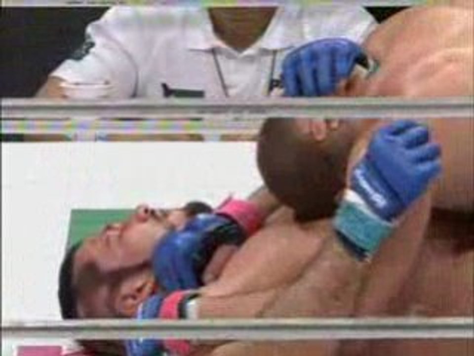 Fedor Emelianenko vs Heath Herring