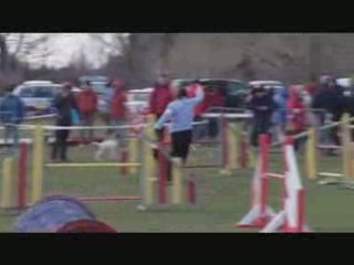 Mouries Jumping Voxy