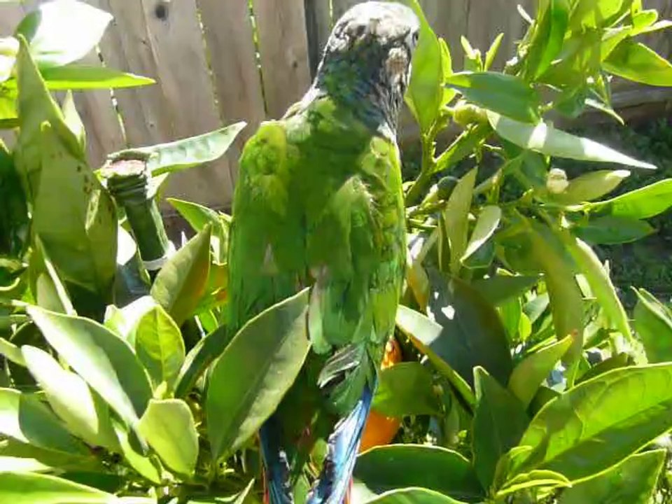 P1010283