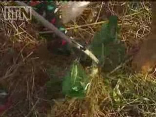 People feel less safe in areas with lots of rubbish