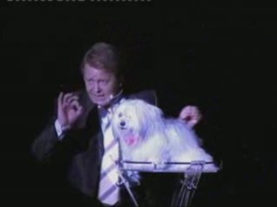 LES ANIMAUX EN FOLIE