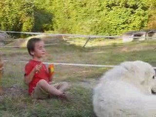 Yannel et belami étè 2008