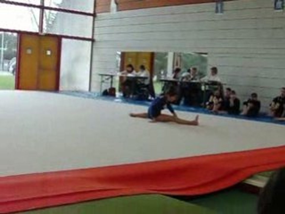 gala de gym