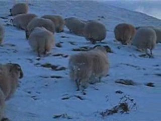 Snowy Pentland Hills February 2009