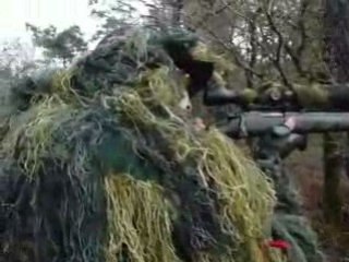 partie BZA du 8 février 2009