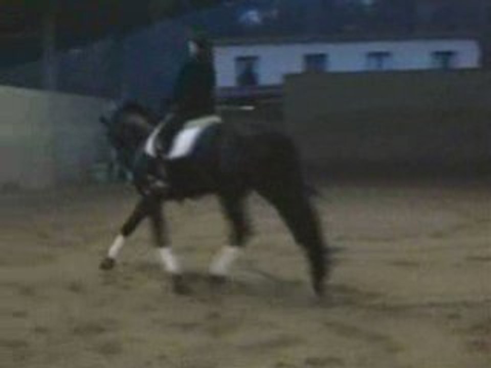 Quatimini de Mesille