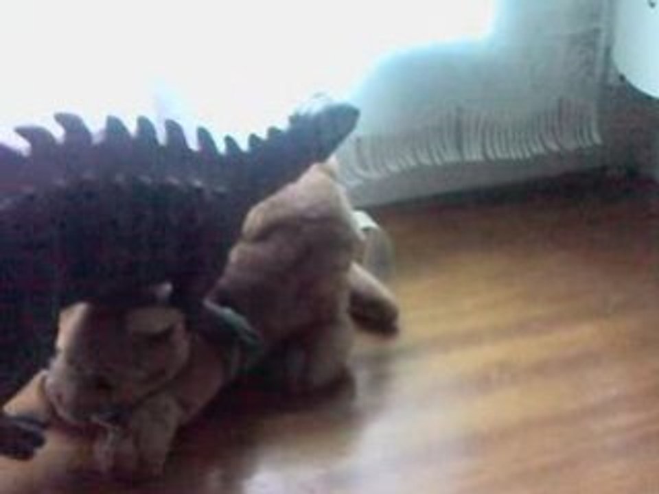 Les aventures de Rex le T-rex