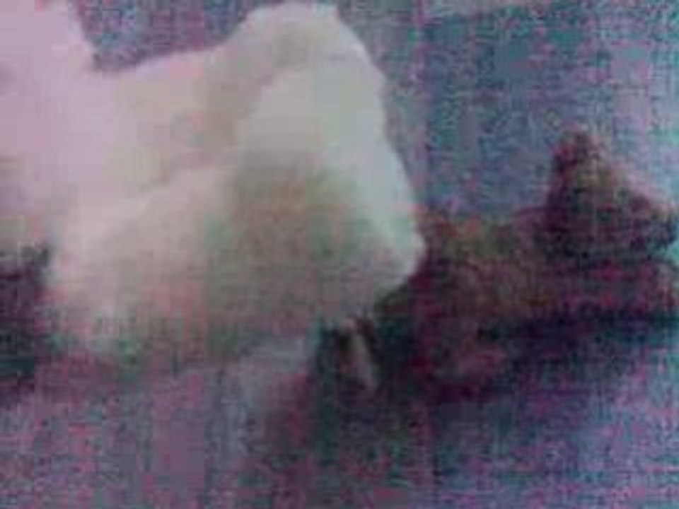 Les aventures de Rex le T-rex 2