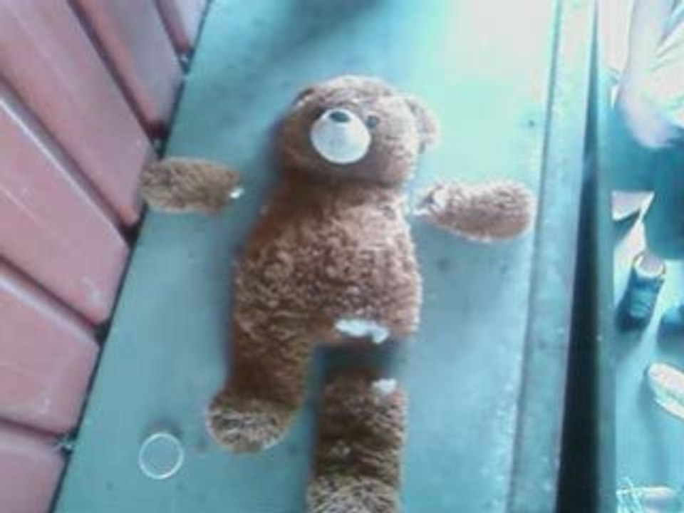 L'ours