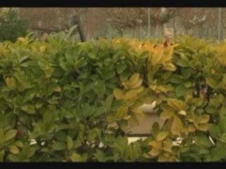 Te quiero, de Julio Mazarico