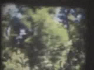 TAONGA MAORI: A VISUAL EXPLORATION by Maia Jessop