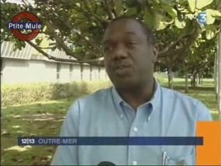 Y. Jego revient en Guadeloupe