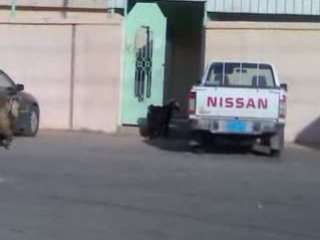 نروح المدرسة بدري